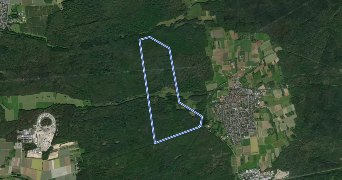 Маршрут Rundwanderweg Darmstadt Messeler Falltorhaus 8: Mörsbacher-Grund-Weg на спутниковом снимке