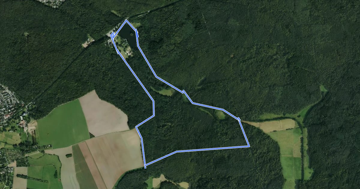 Маршрут Rundwanderweg Darmstadt Steinbrücker Teich 1: Kahler Berg-Weg на спутниковом снимке