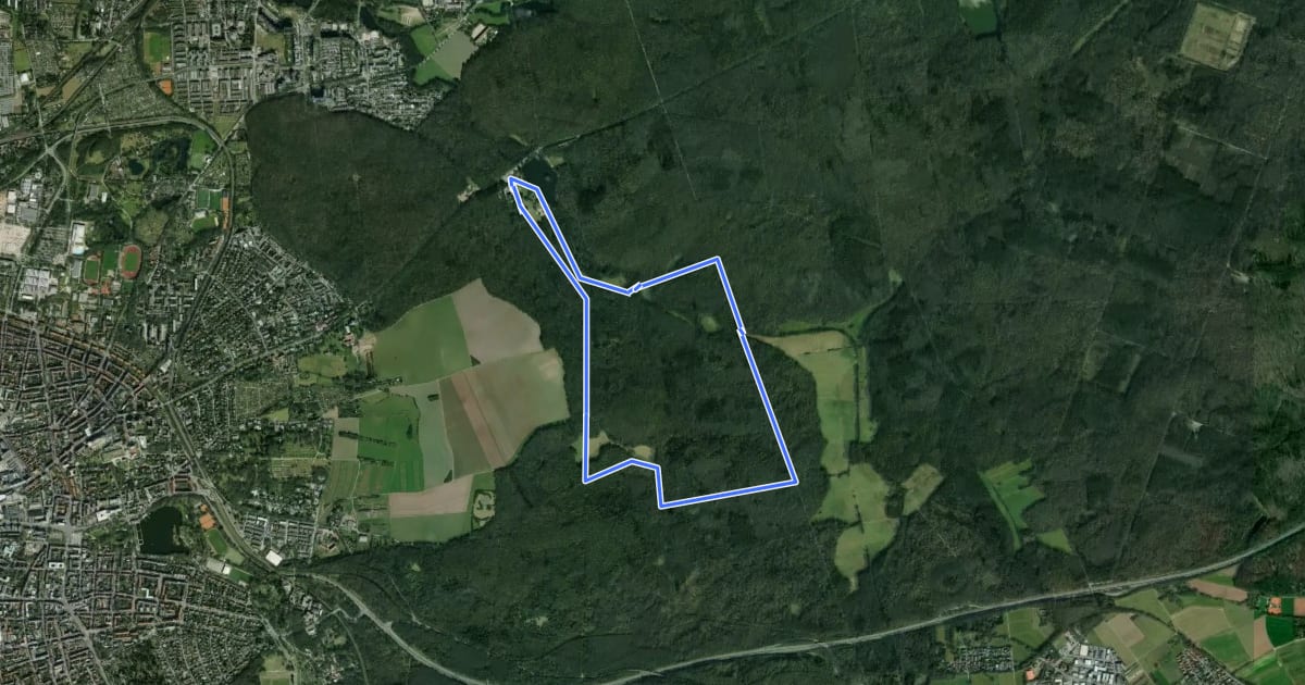 Маршрут Rundwanderweg Darmstadt Steinbrücker Teich 2: Sulmenseekopf-Weg на спутниковом снимке