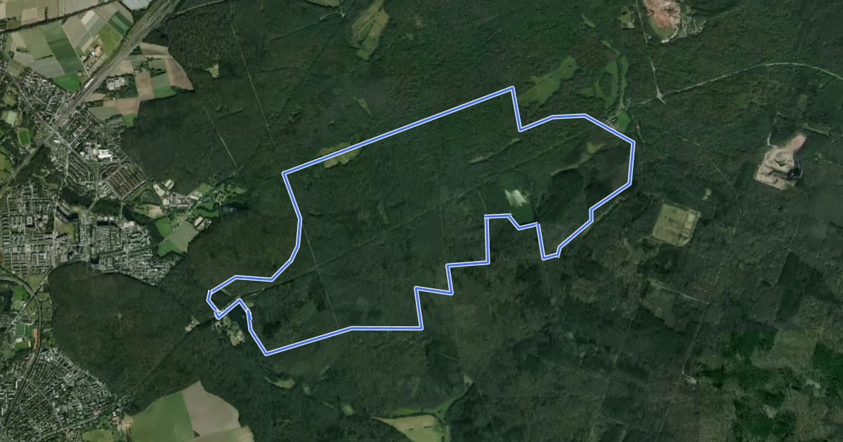 Маршрут Rundwanderweg Darmstadt Steinbrücker Teich 3: Wildpark-Weg на спутниковом снимке