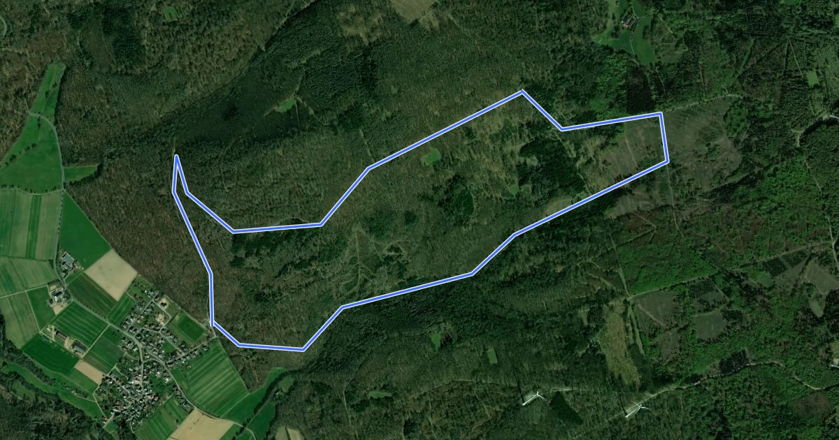 Маршрут Rundwanderweg Dombach 1 Stückelberg на спутниковом снимке
