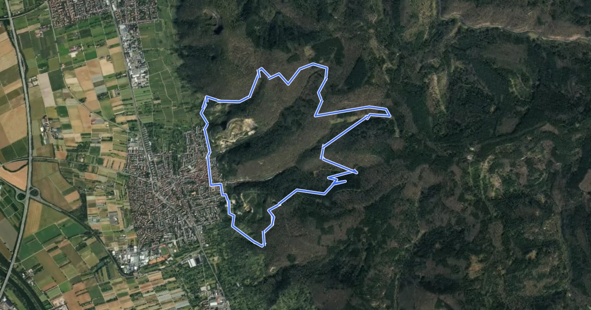 Маршрут Rundwanderweg Dossenheim 1 на спутниковом снимке
