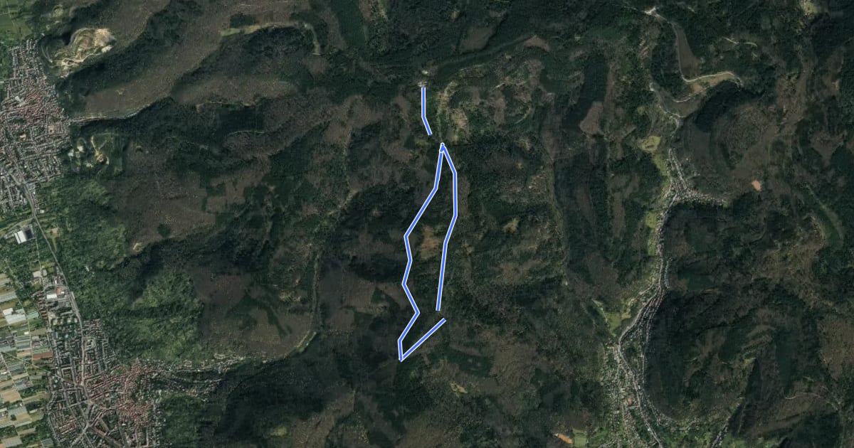 Маршрут Rundwanderweg Dossenheim Weißer Stein 9: Hirschhang Weg на спутниковом снимке