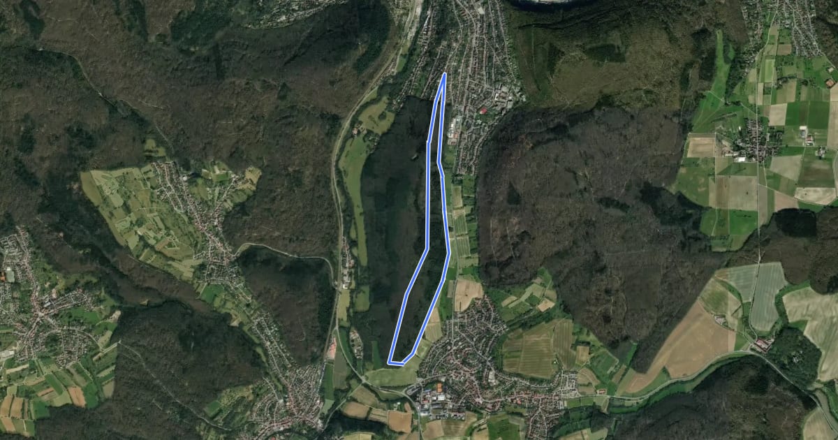 Маршрут Rundwanderweg Drei-Hasen-Hütte 1: Bannwald-Weg на спутниковом снимке