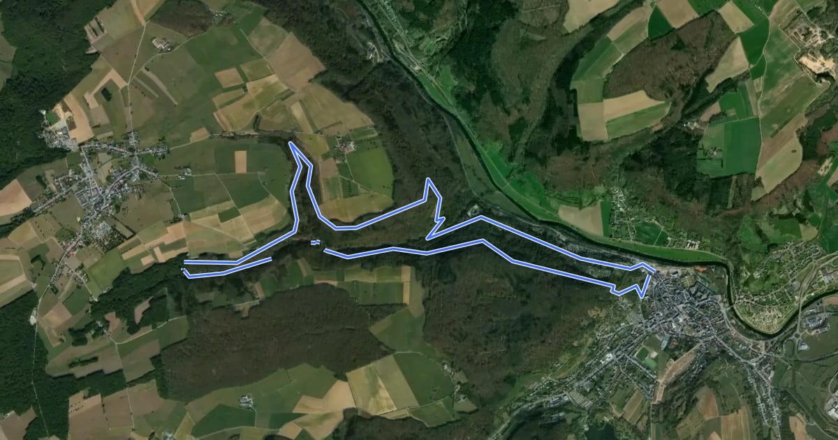 Маршрут Rundwanderweg E1 на спутниковом снимке