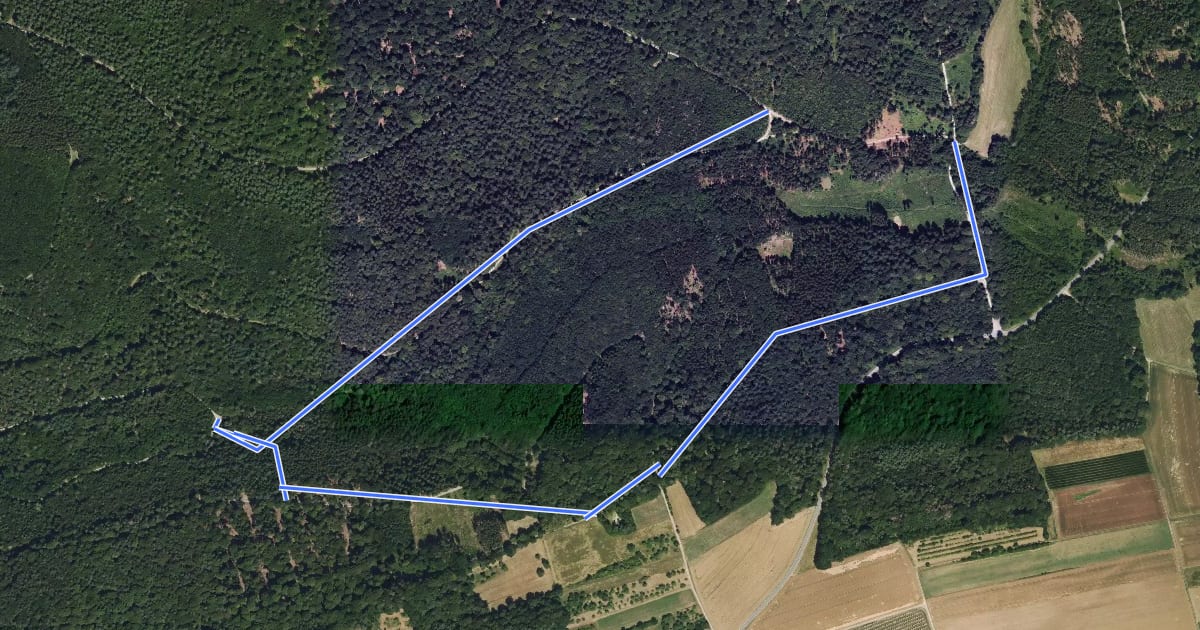 Маршрут Rundwanderweg Ebenheid, Eb3, Saurain-Weg на спутниковом снимке
