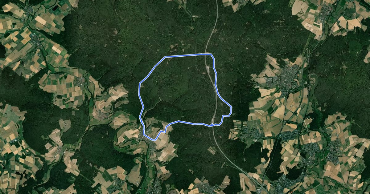 Маршрут Rundwanderweg Eichberg на спутниковом снимке