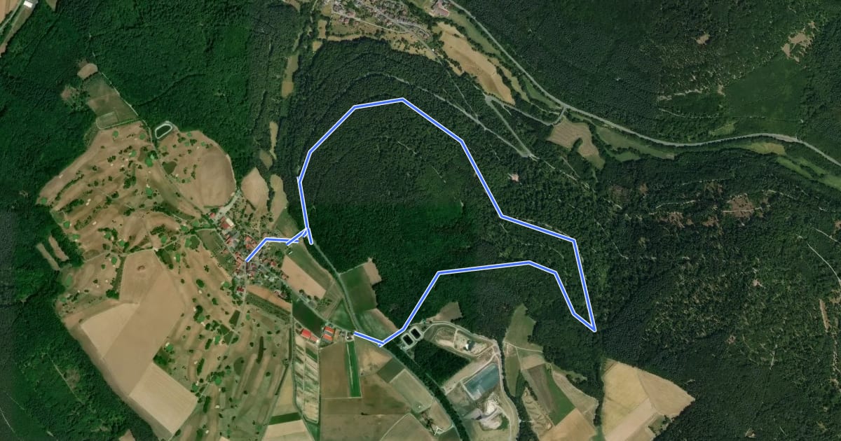 Маршрут Rundwanderweg Eichenbühl Guggenberger Höhe 3: Scheidberg-Weg на спутниковом снимке