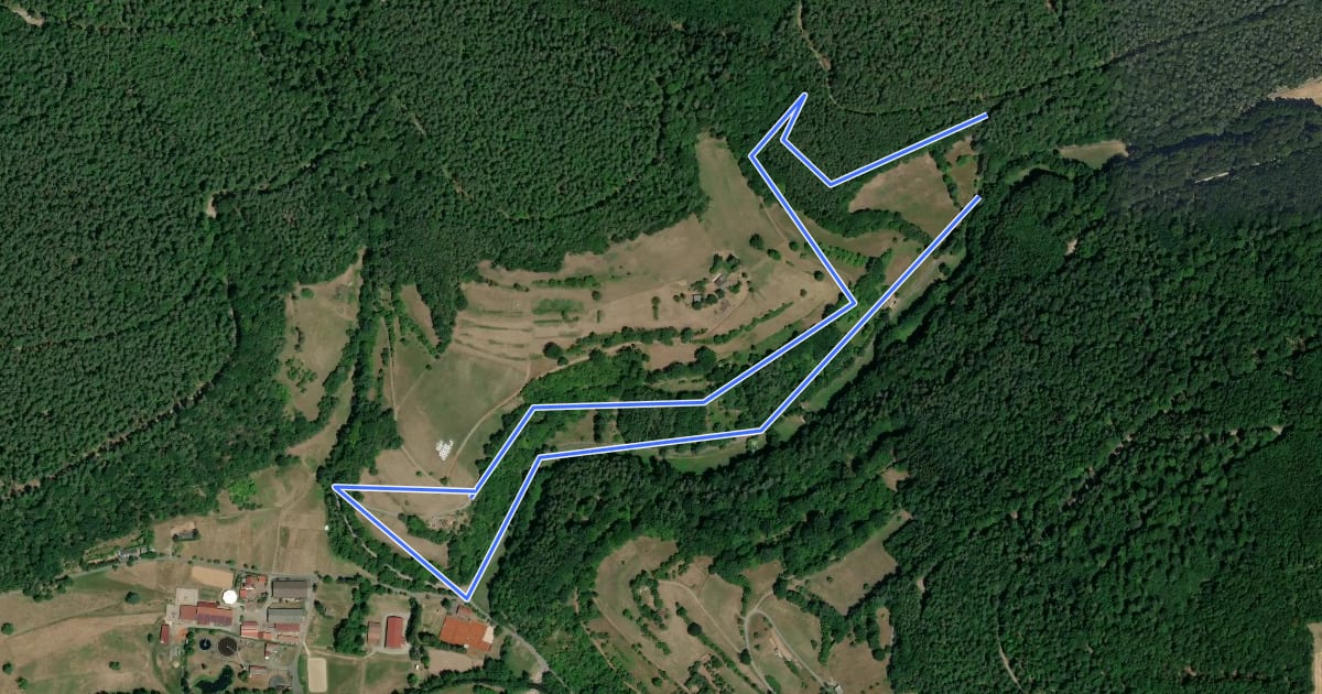 Маршрут Rundwanderweg Eichenbühl Kohlgrund 1: Haseltrieb-Weg на спутниковом снимке