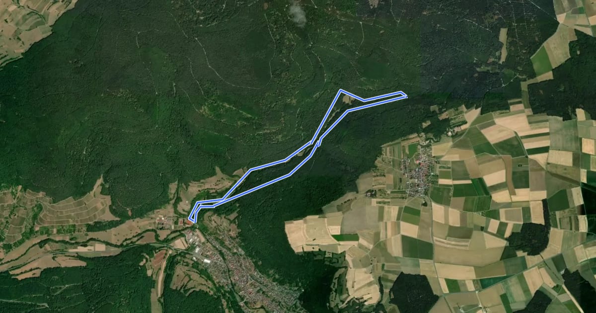 Маршрут Rundwanderweg Eichenbühl Kohlgrund 2: Kohlgrund-Weg на спутниковом снимке