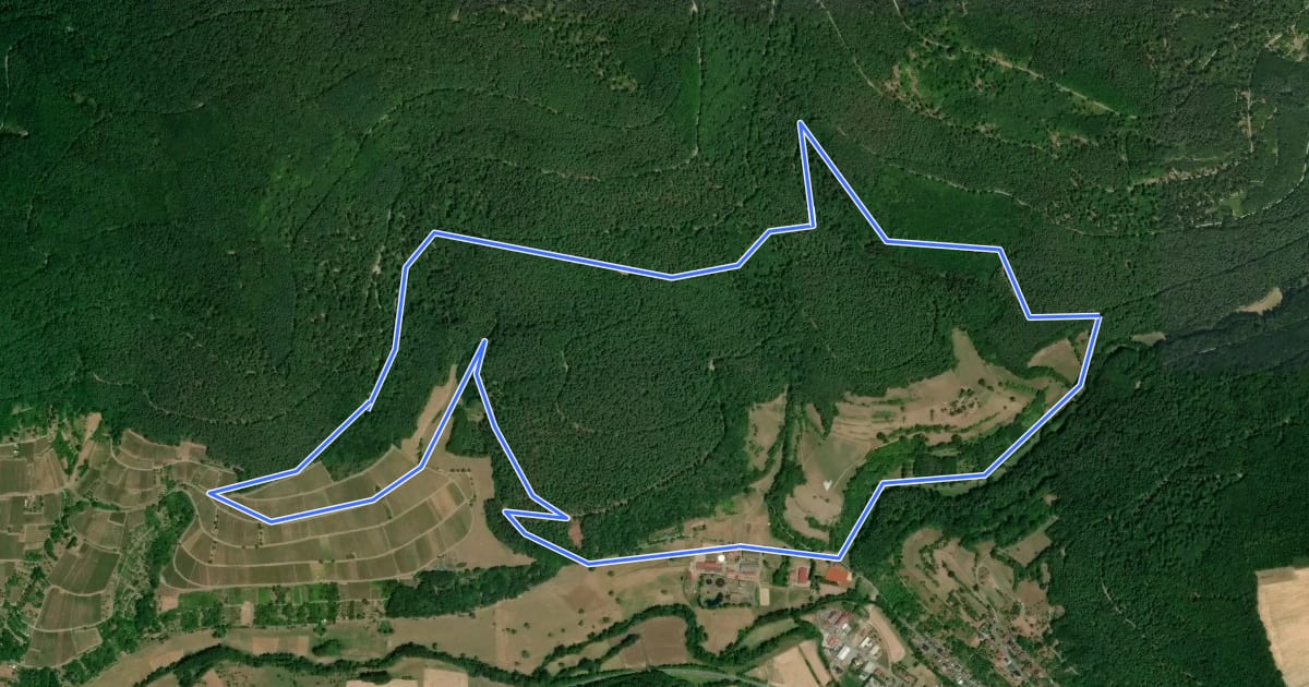 Маршрут Rundwanderweg Eichenbühl Kohlgrund 3: Hölle-Weg на спутниковом снимке