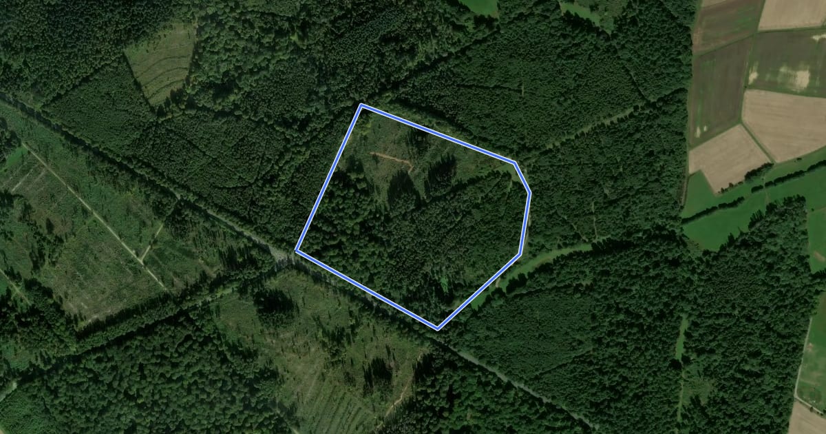 Маршрут Rundwanderweg Eichenblatt на спутниковом снимке