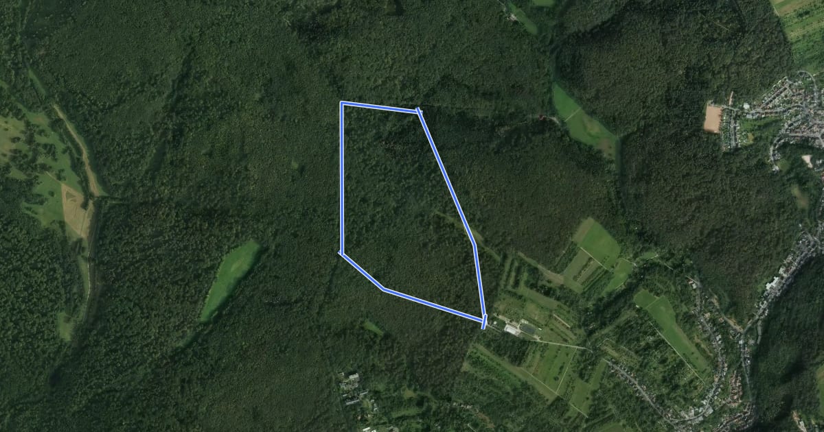 Маршрут Rundwanderweg Eichhorn на спутниковом снимке