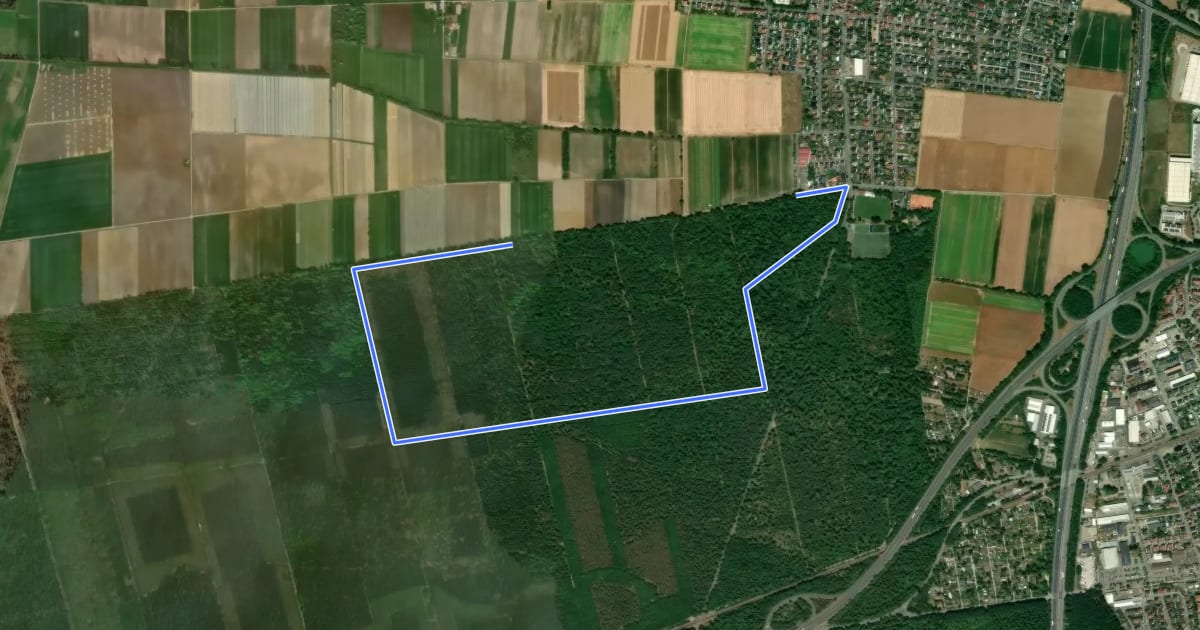 Маршрут Rundwanderweg Einhausen Wolfshecke 1 на спутниковом снимке