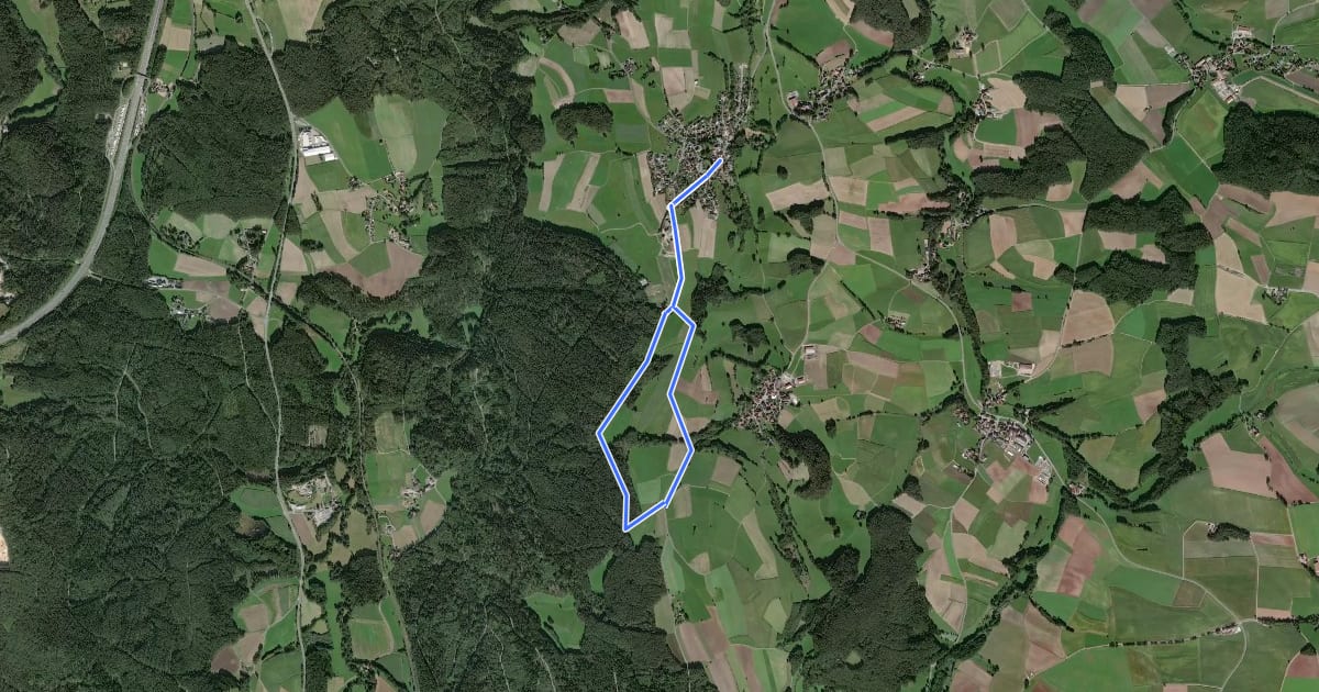 Маршрут Rundwanderweg Emtmannsberg 1 "Rund um den Galgenberg" на спутниковом снимке