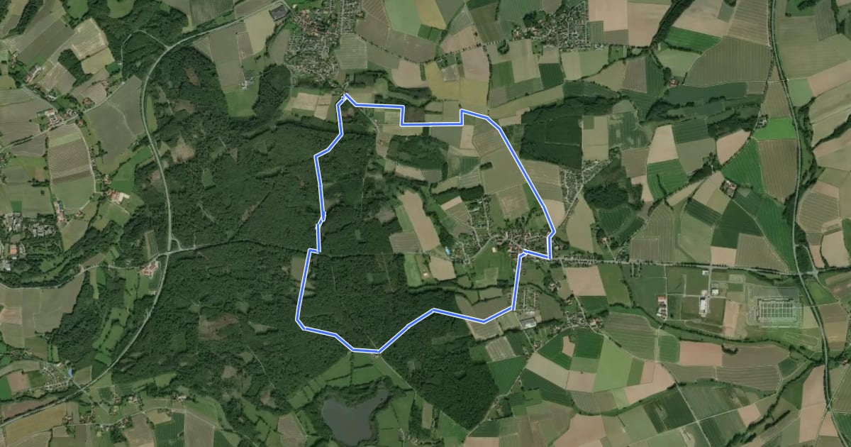 Маршрут Rundwanderweg [Entenkrug / Belle] на спутниковом снимке