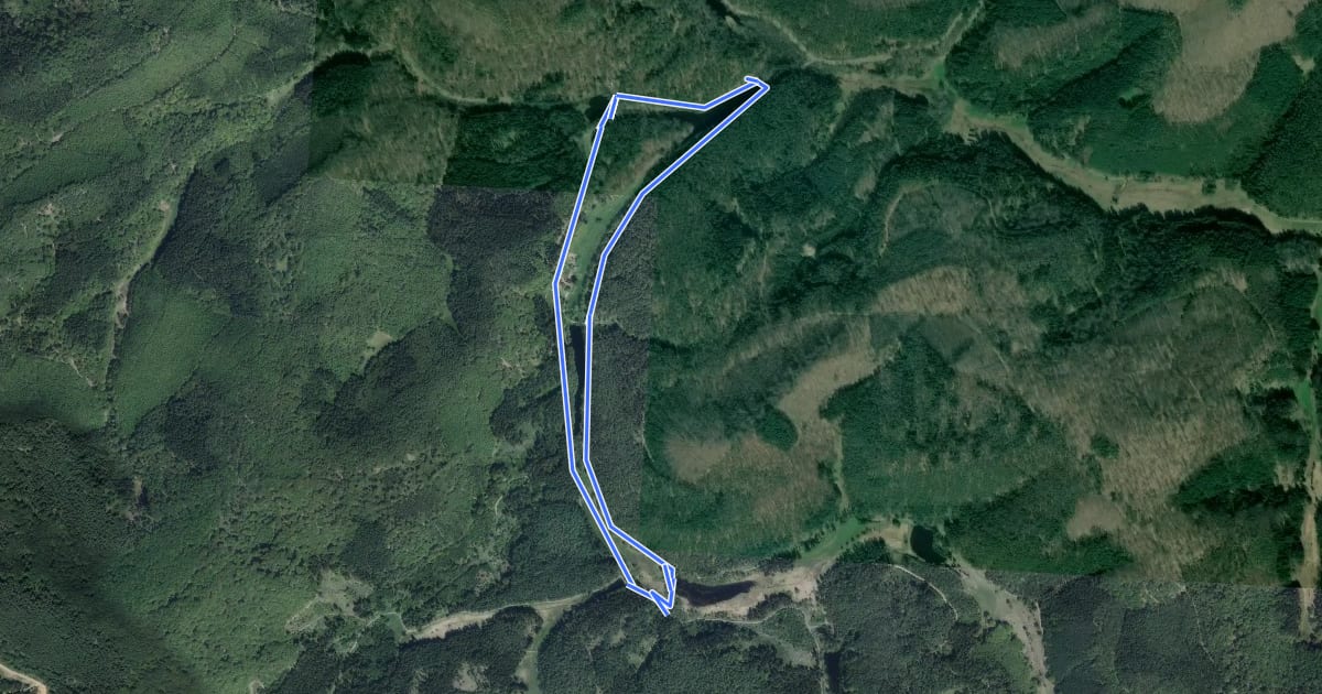 Маршрут Rundwanderweg Eppenbrunn 1 на спутниковом снимке