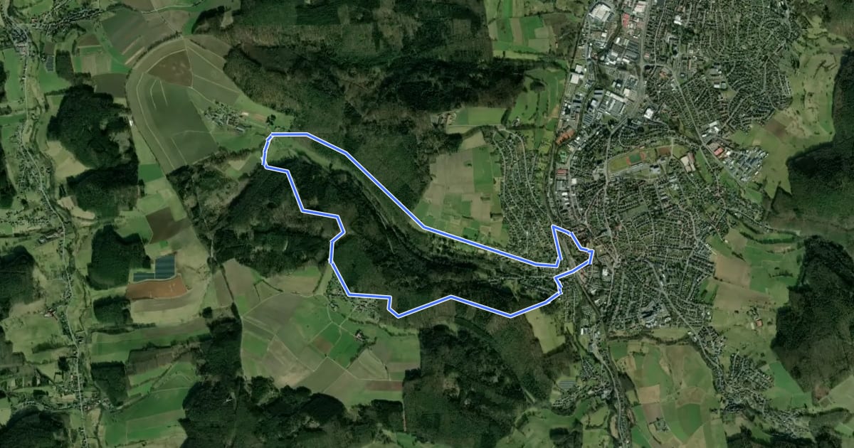 Маршрут Rundwanderweg Erbach 1: на спутниковом снимке