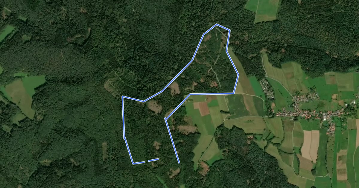 Маршрут Rundwanderweg Erbach Bullauer Bild 2: Ebersberger-Felsenmeer-Weg на спутниковом снимке