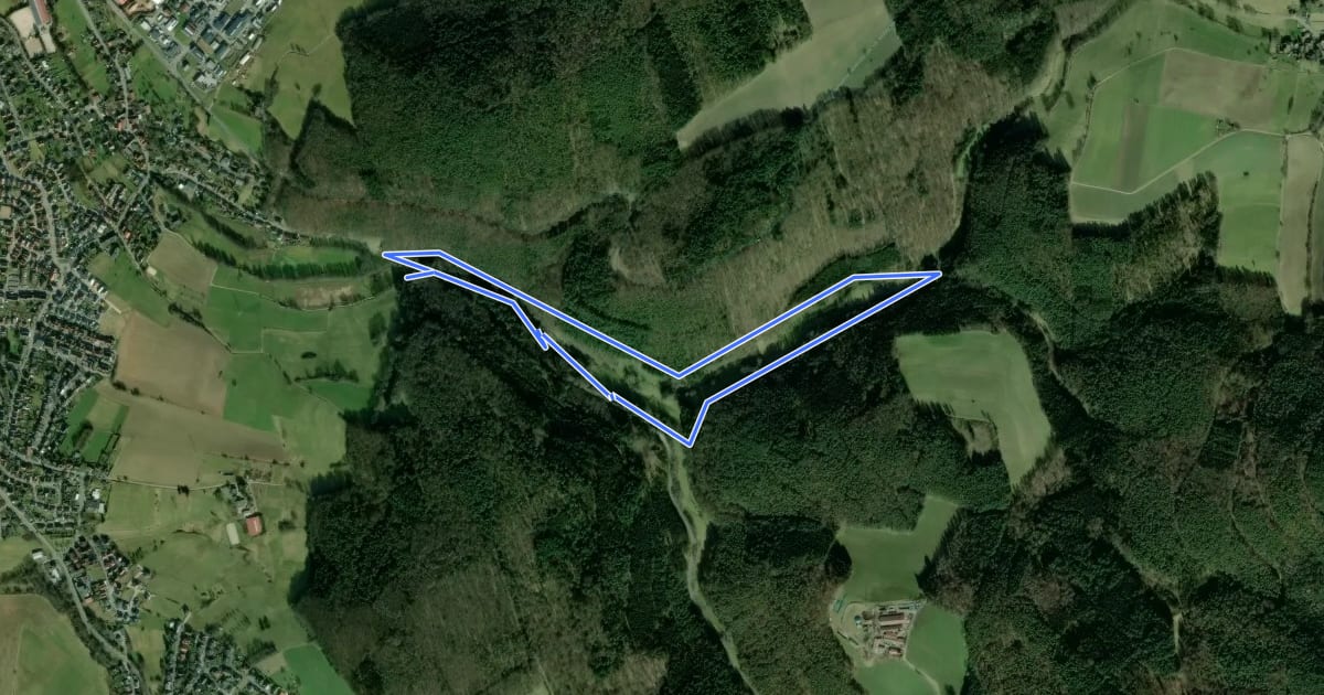 Маршрут Rundwanderweg Erbach Dreiseetal 2: Ernsbach-Weg на спутниковом снимке