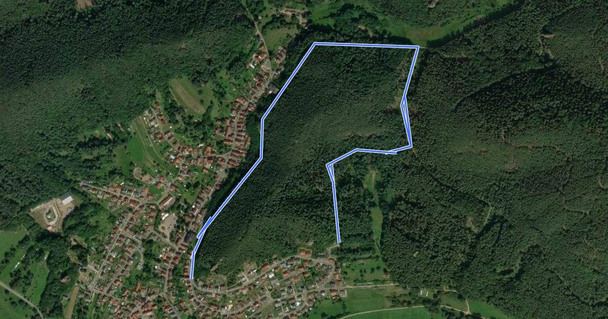 Маршрут Rundwanderweg Erfweiler 51 на спутниковом снимке