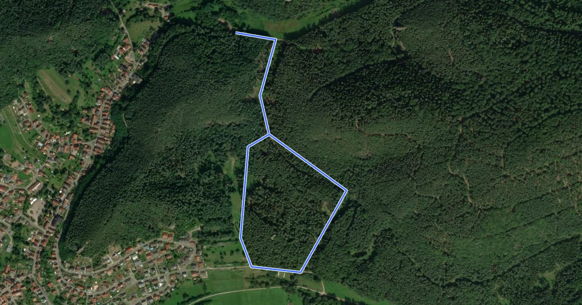 Маршрут Rundwanderweg Erfweiler 53 на спутниковом снимке
