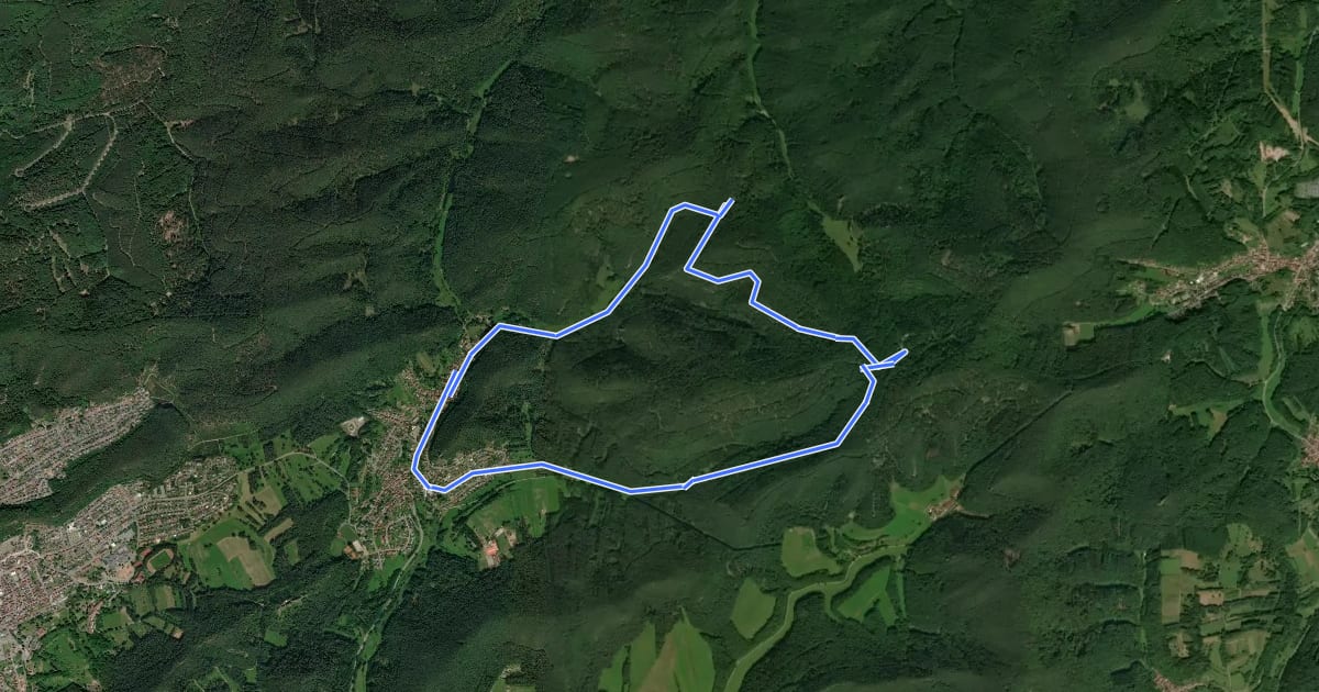 Маршрут Rundwanderweg Erfweiler 55 на спутниковом снимке