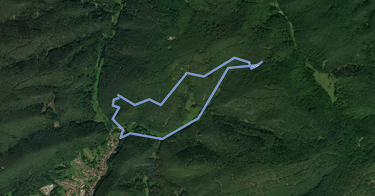 Маршрут Rundwanderweg Erfweiler 56 на спутниковом снимке