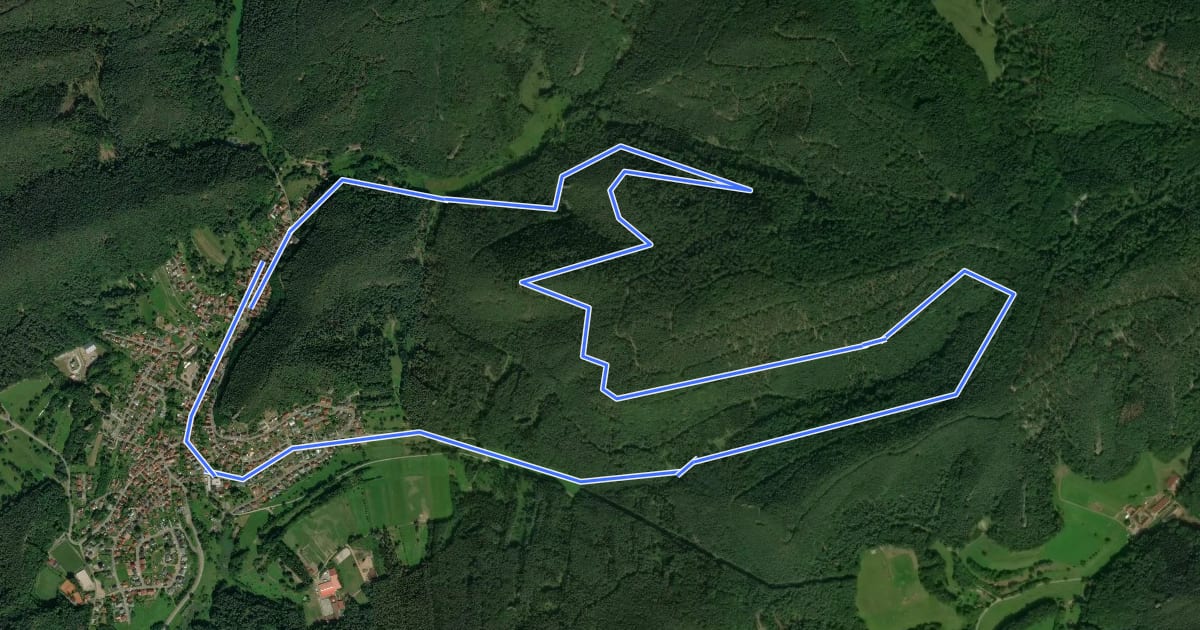 Маршрут Rundwanderweg Erfweiler 58 на спутниковом снимке