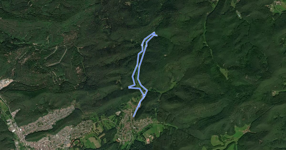 Маршрут Rundwanderweg Erfweiler 63 на спутниковом снимке