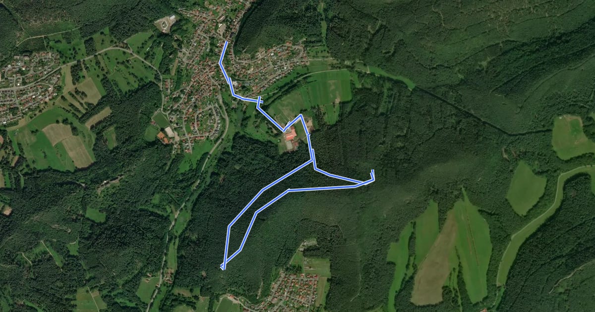 Маршрут Rundwanderweg Erfweiler 64 на спутниковом снимке