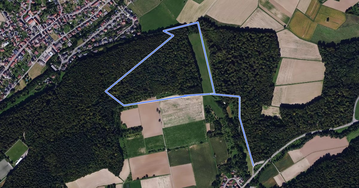 Маршрут Rundwanderweg Eschelbronn Lohbrunnen 1: Bußloch-Weg на спутниковом снимке