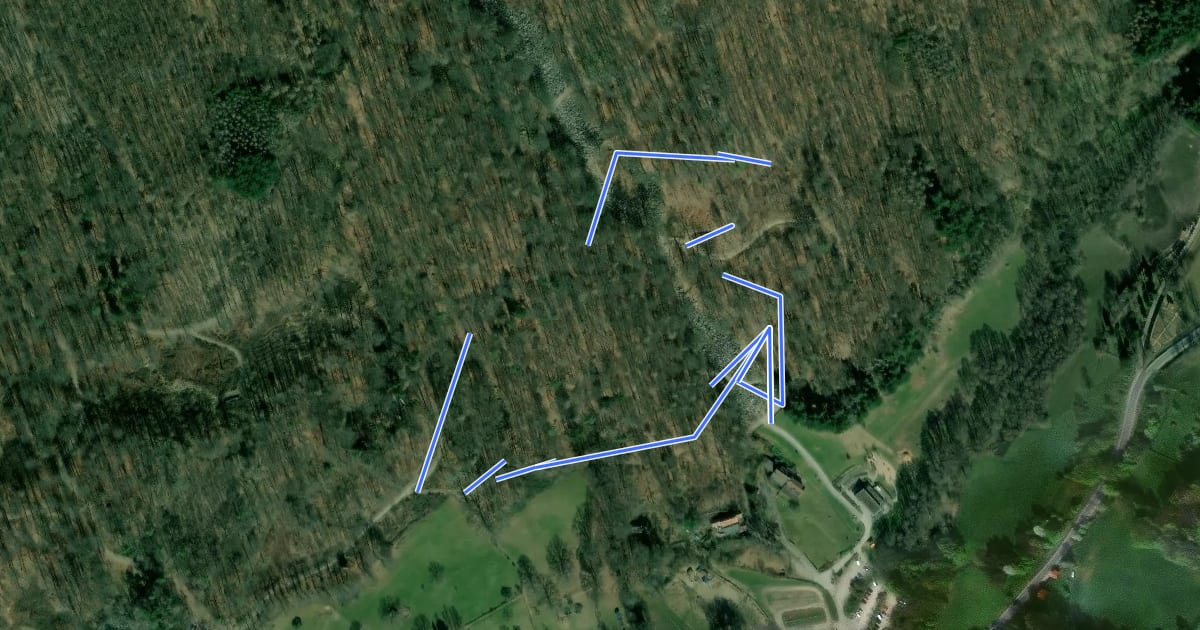 Маршрут Rundwanderweg Felsenmeer 1: Unterer Felsenmeer-Weg на спутниковом снимке