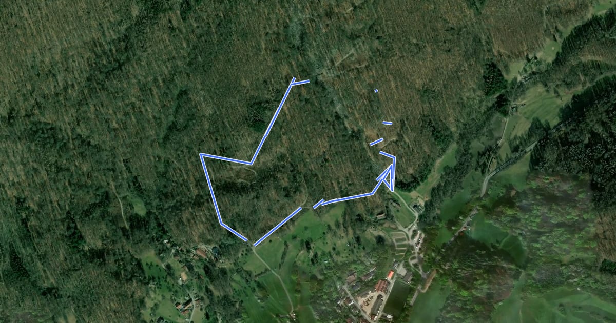 Маршрут Rundwanderweg Felsenmeer 2: Mittlerer Felsenmeer-Weg на спутниковом снимке