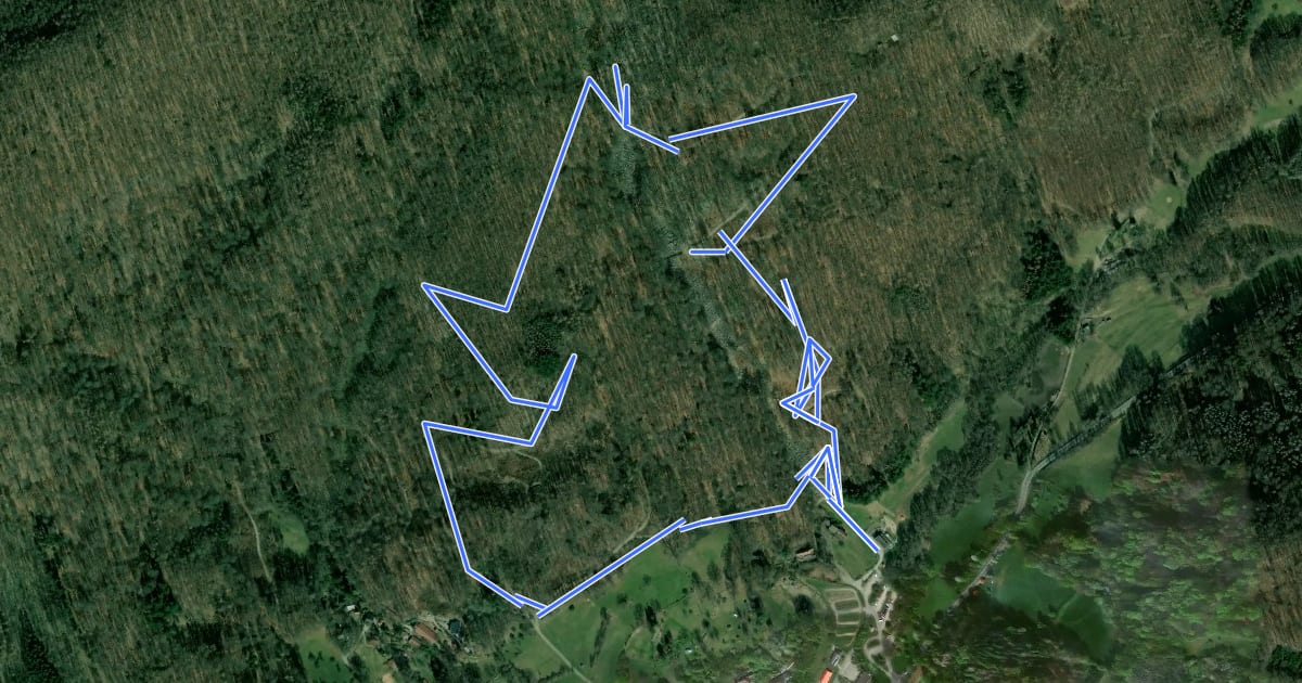 Маршрут Rundwanderweg Felsenmeer 3: Großer Felsenmeer-Weg на спутниковом снимке
