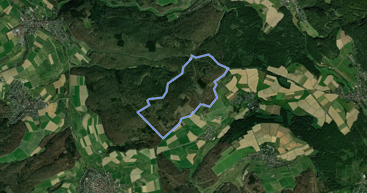 Маршрут Rundwanderweg Fichte Glaswald на спутниковом снимке