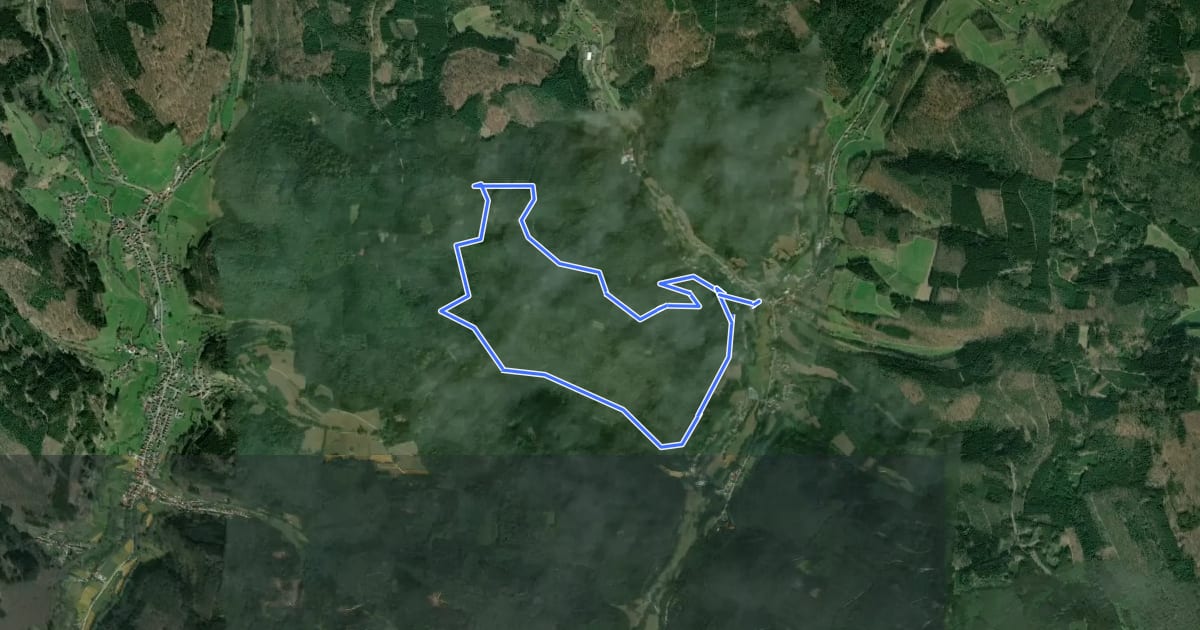 Маршрут Rundwanderweg Finkenbach 1: Wetter-Berg-Weg на спутниковом снимке