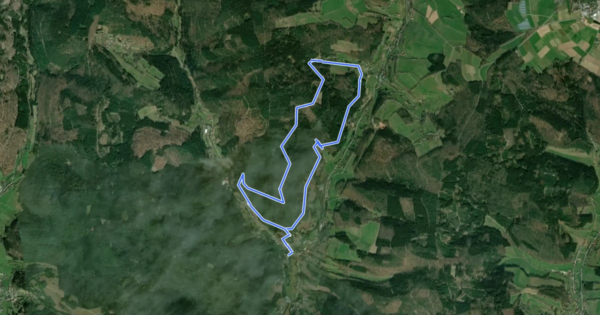 Маршрут Rundwanderweg Finkenbach 2: Finken-Berg-Weg на спутниковом снимке