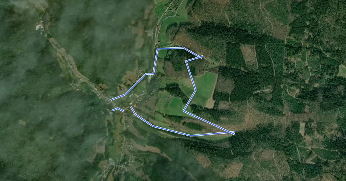 Маршрут Rundwanderweg Finkenbach 3: Schützengrund-Weg на спутниковом снимке