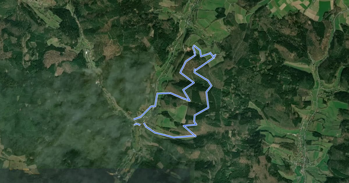 Маршрут Rundwanderweg Finkenbach 4: Leonhards-Weg на спутниковом снимке