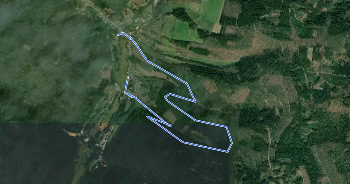 Маршрут Rundwanderweg Finkenbach 5: Lenzegrund-Weg на спутниковом снимке