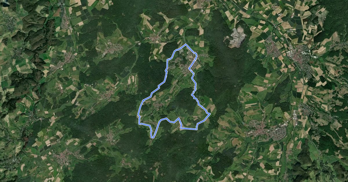 Маршрут Rundwanderweg Fischbachtal 1 : Panoramaweg на спутниковом снимке