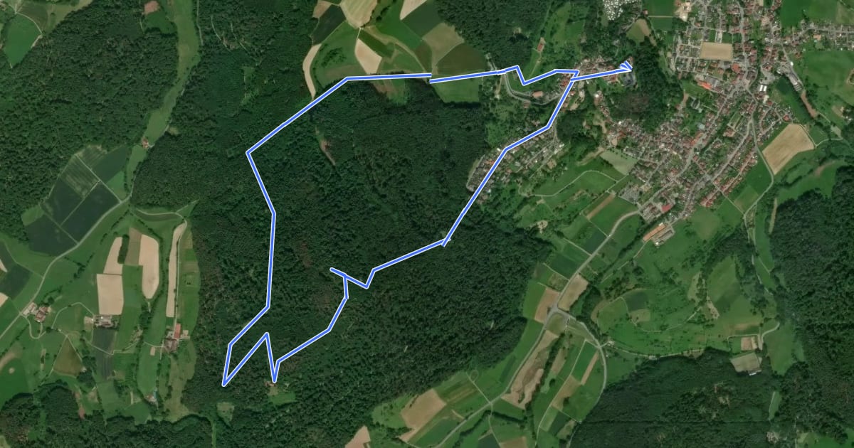 Маршрут Rundwanderweg Fischbachtal 2 : Geographisch-Historischer-Lehrpfad на спутниковом снимке