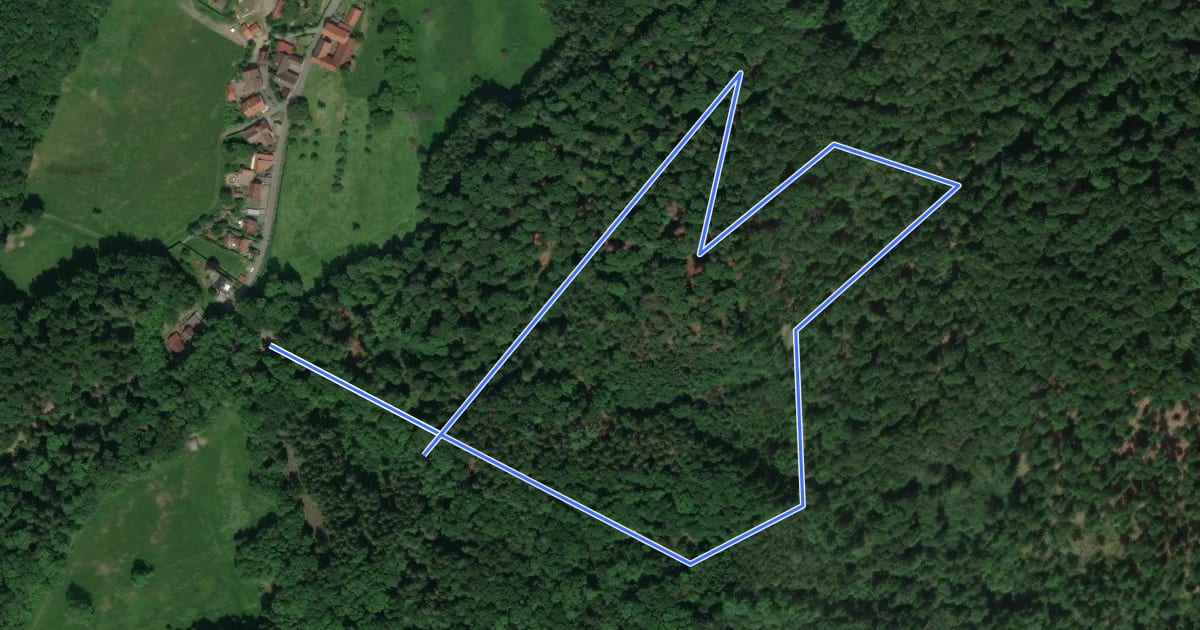 Маршрут Rundwanderweg Fischbachtal Gagernstein 2: Gagernsteinweg на спутниковом снимке