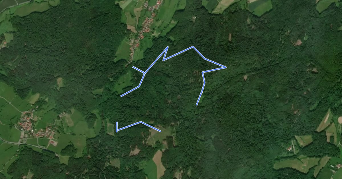 Маршрут Rundwanderweg Fischbachtal Gagernstein 3: Daumensteinrundweg на спутниковом снимке