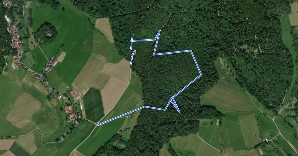 Маршрут Rundwanderweg Fischbachtal Nonroder Höhe 4 :Baronsruh-Weg на спутниковом снимке