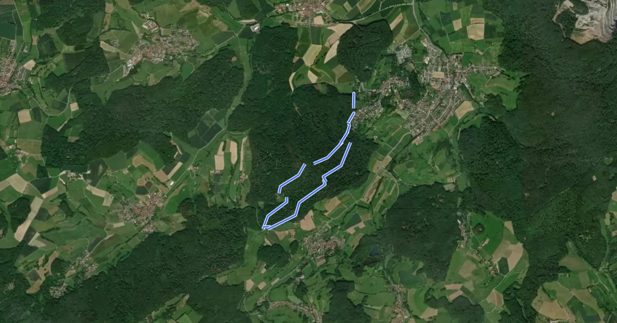 Маршрут Rundwanderweg Fischbachtal Riedbusch 3: Kernbach-Weg на спутниковом снимке