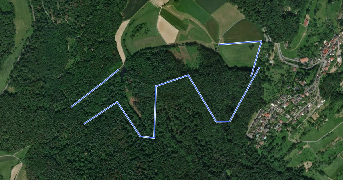 Маршрут Rundwanderweg Fischbachtal Riedbusch 5: Schlangen-Weg на спутниковом снимке