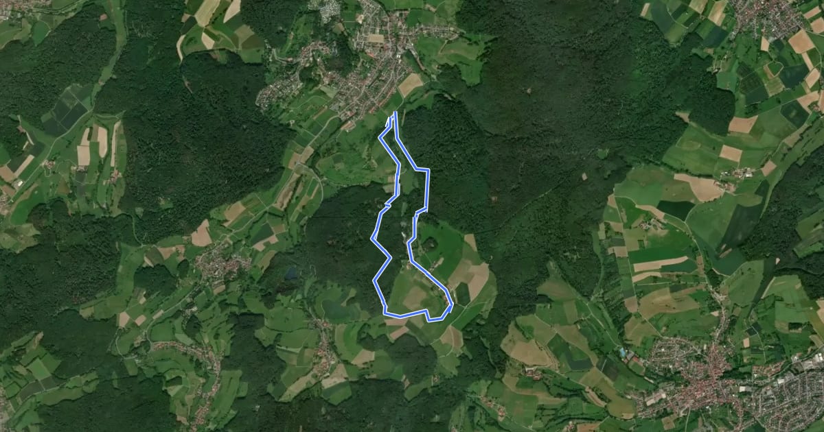 Маршрут Rundwanderweg Fischbachtal Ruhehain 2: Spitzestein-Weg на спутниковом снимке