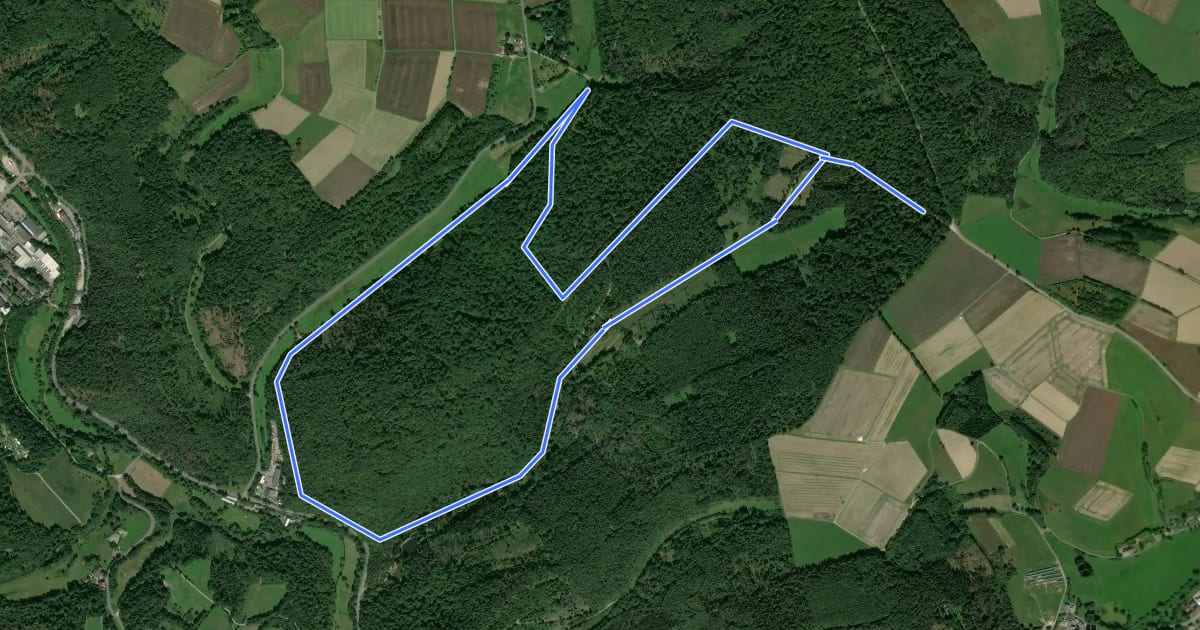 Маршрут Rundwanderweg Forelle на спутниковом снимке